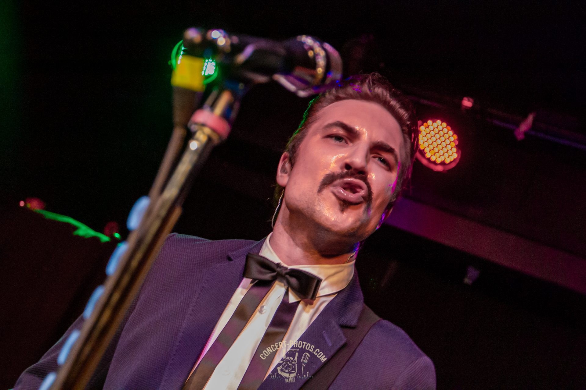 Royal Republic 2015 in Hannover